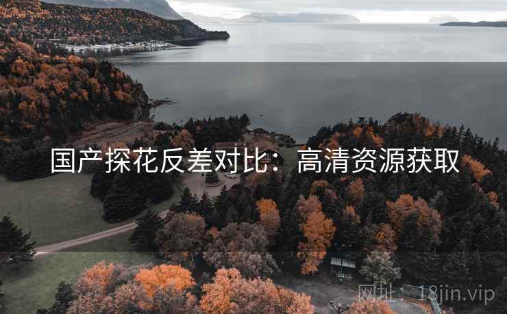 国产探花反差对比:高清资源获取