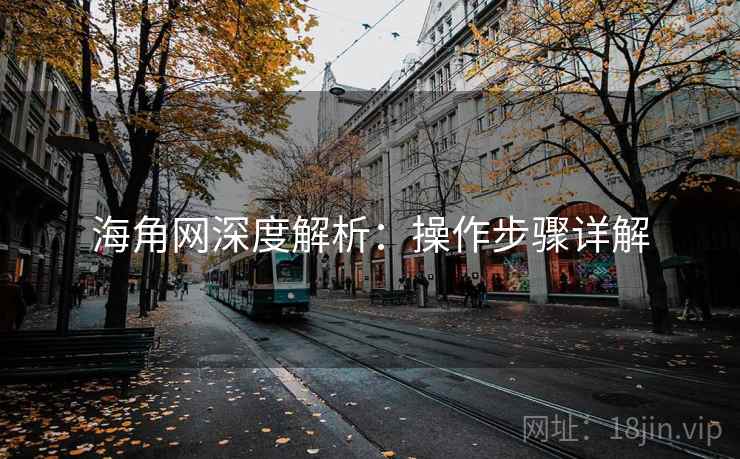 海角网深度解析：操作步骤详解